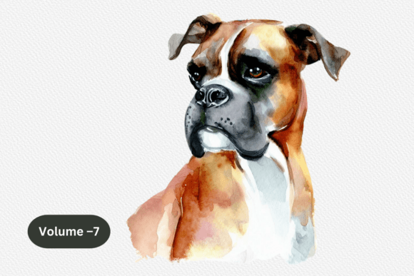Boxer Dog Watercolor Clipart Vol 7: A Designer's Review